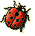 ladybug.gif (1830 bytes)